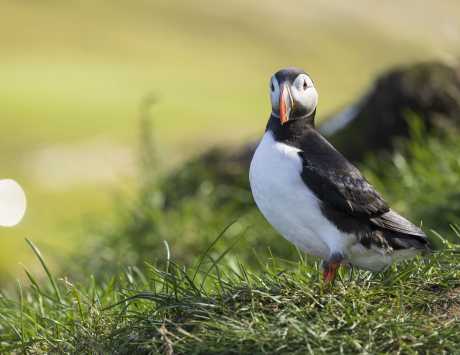 Média réf. 4397 (10/13): 