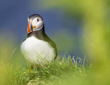 Média réf. 4401 (9/13): 