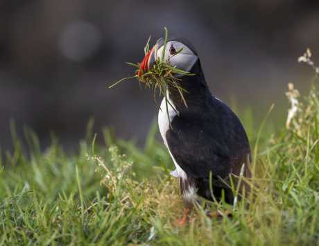 Média réf. 4398 (3/13): 